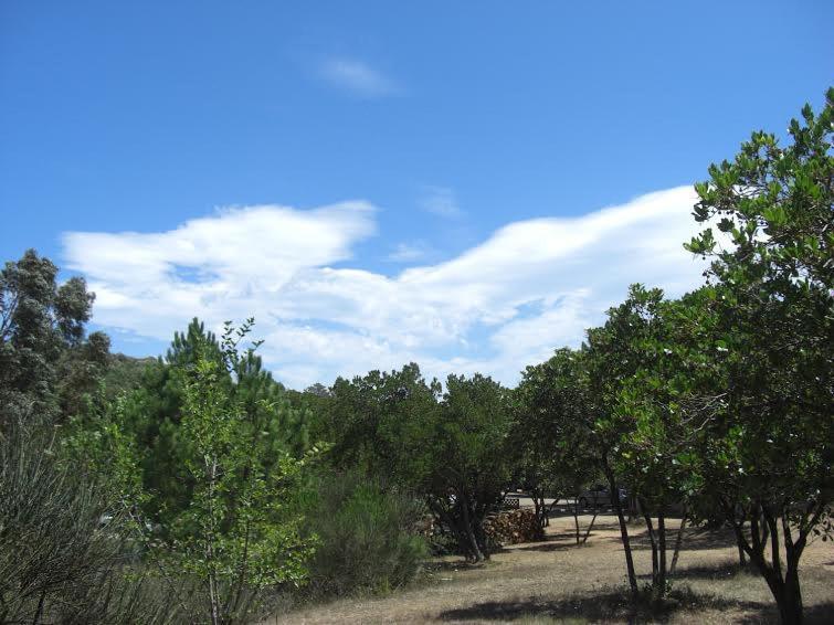 Camping California Pinarellu 외부 사진